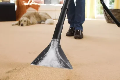 Ciscenje tepiha