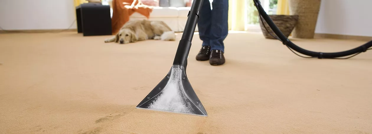 Ciscenje tepiha