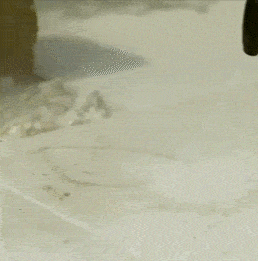 gif-2